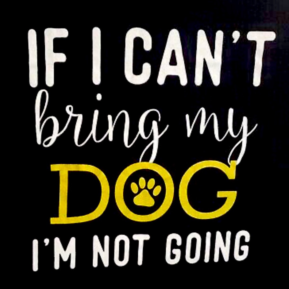 🐾 👱🏻‍♀️🐾 • 💭 If my DOG can’t go….
